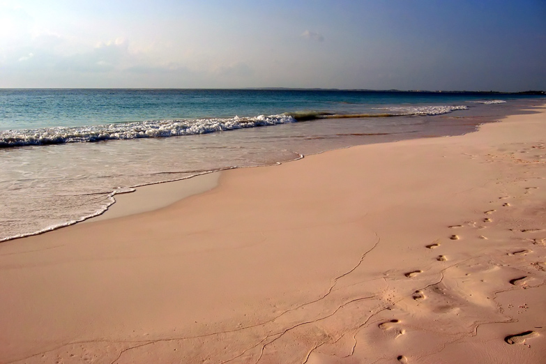 Pink Sands Beach, Harbour Island by Mike's Birds. CC BY-SA 2.0.