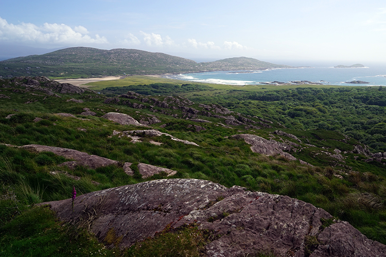 A road cutting through the fields of Valentia Island.