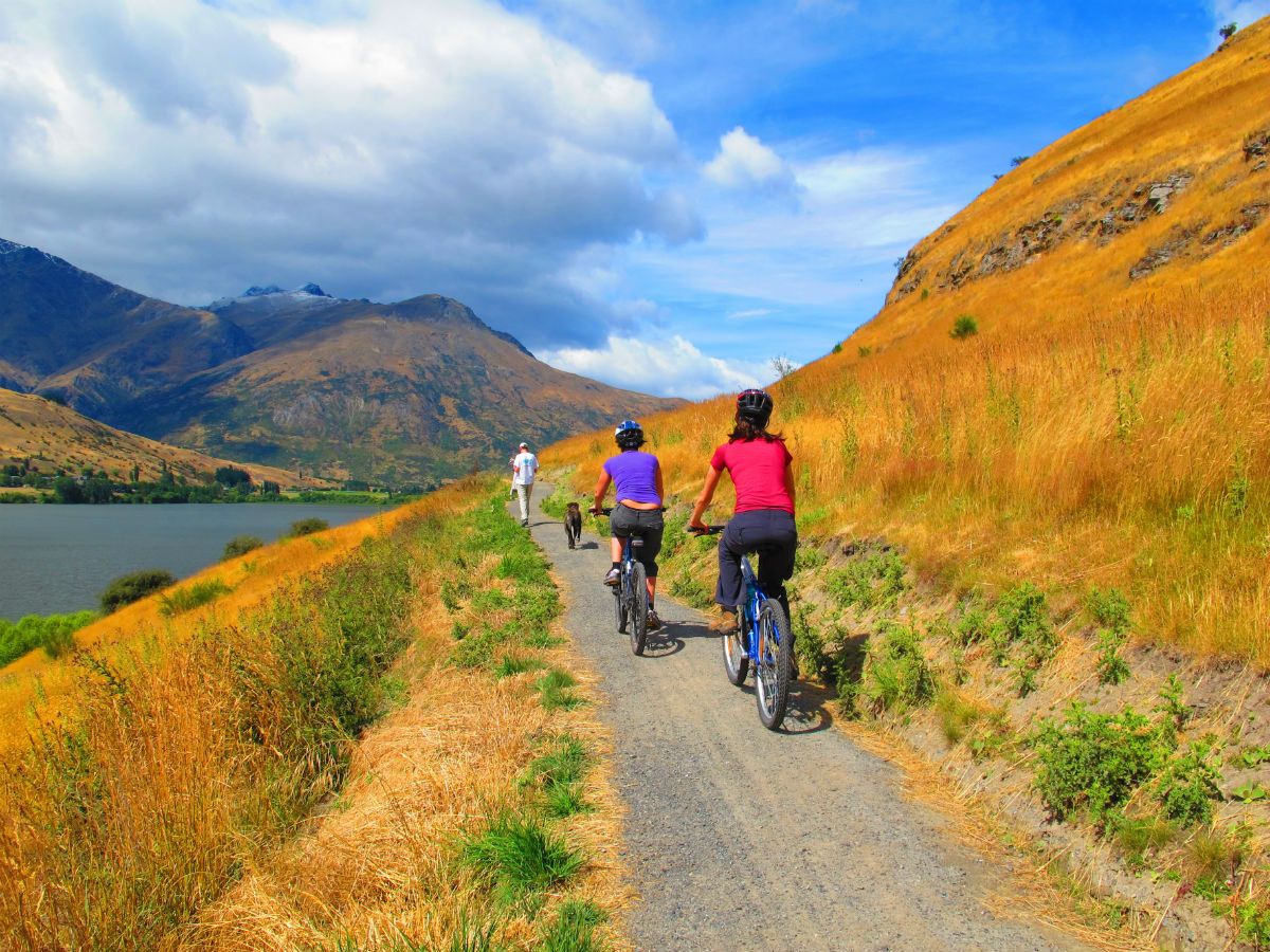 Biking Activities in Queenstown