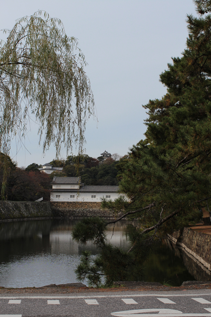 Hikone moat