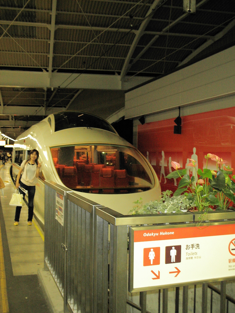 Hakone Limited Express Train 'Romancecar'