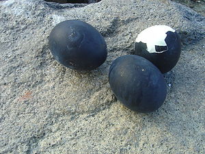 Ōwakudani, Hakone: black eggs (eggs hard-boile...