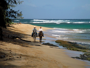 horseback_mahaulepu_300.gif