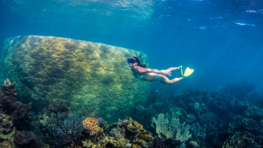 Snorkelling at Coral Bay.