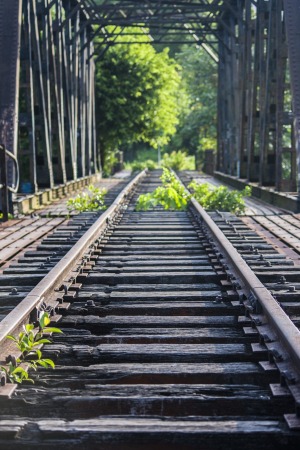 Undeveloped simplicity marks the walking trail.