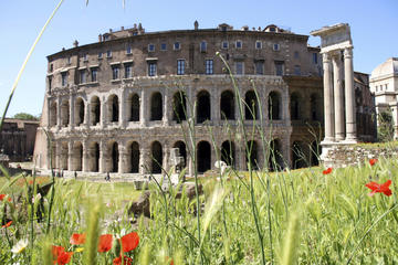 Teatro di Marcello Tours