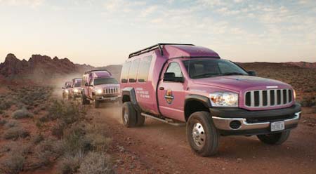 Pink Jeep Tours Rolls Out New Vehicles